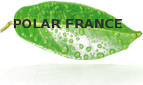 polar-france.com